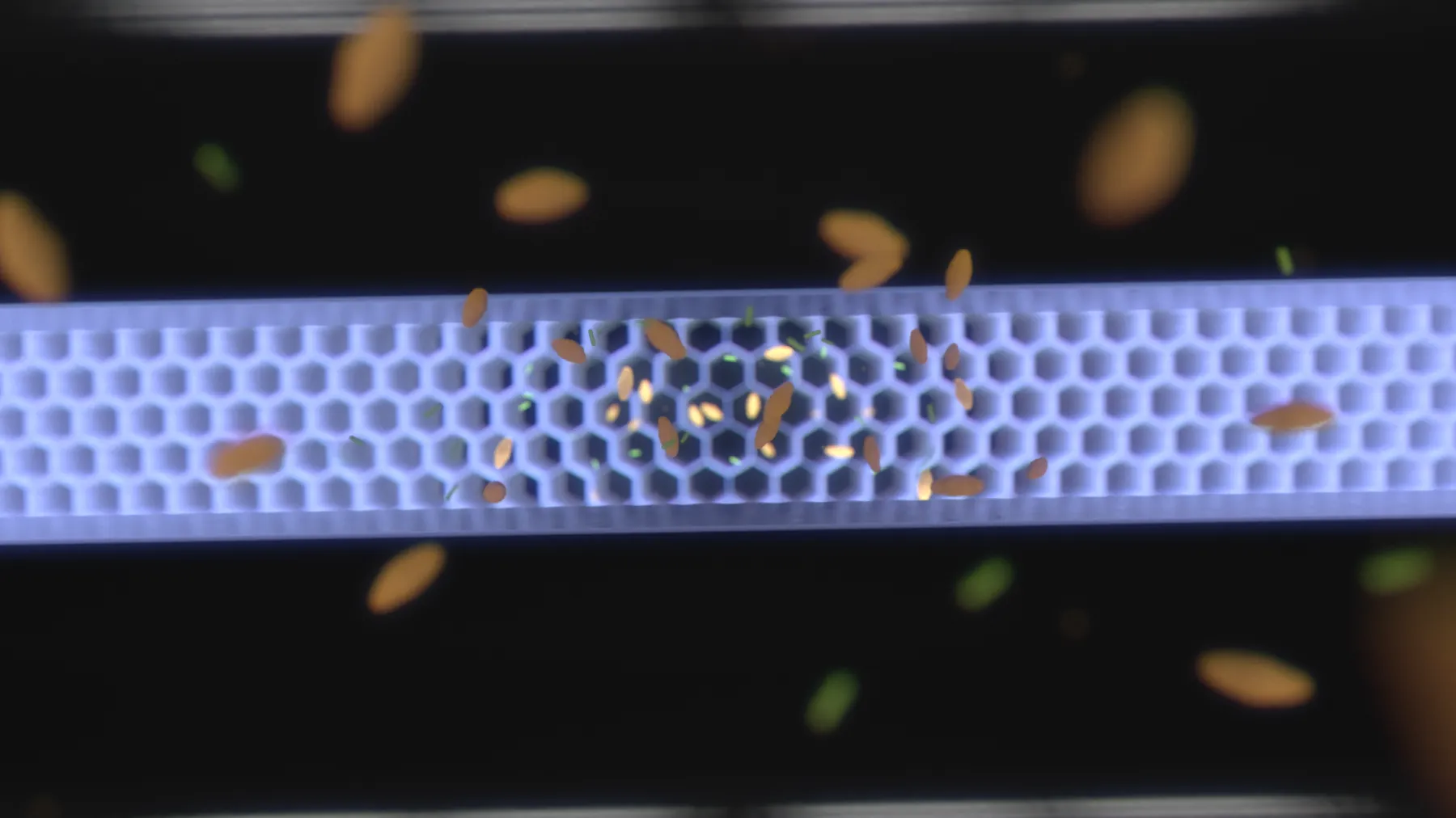 Calistair Technology — image 3