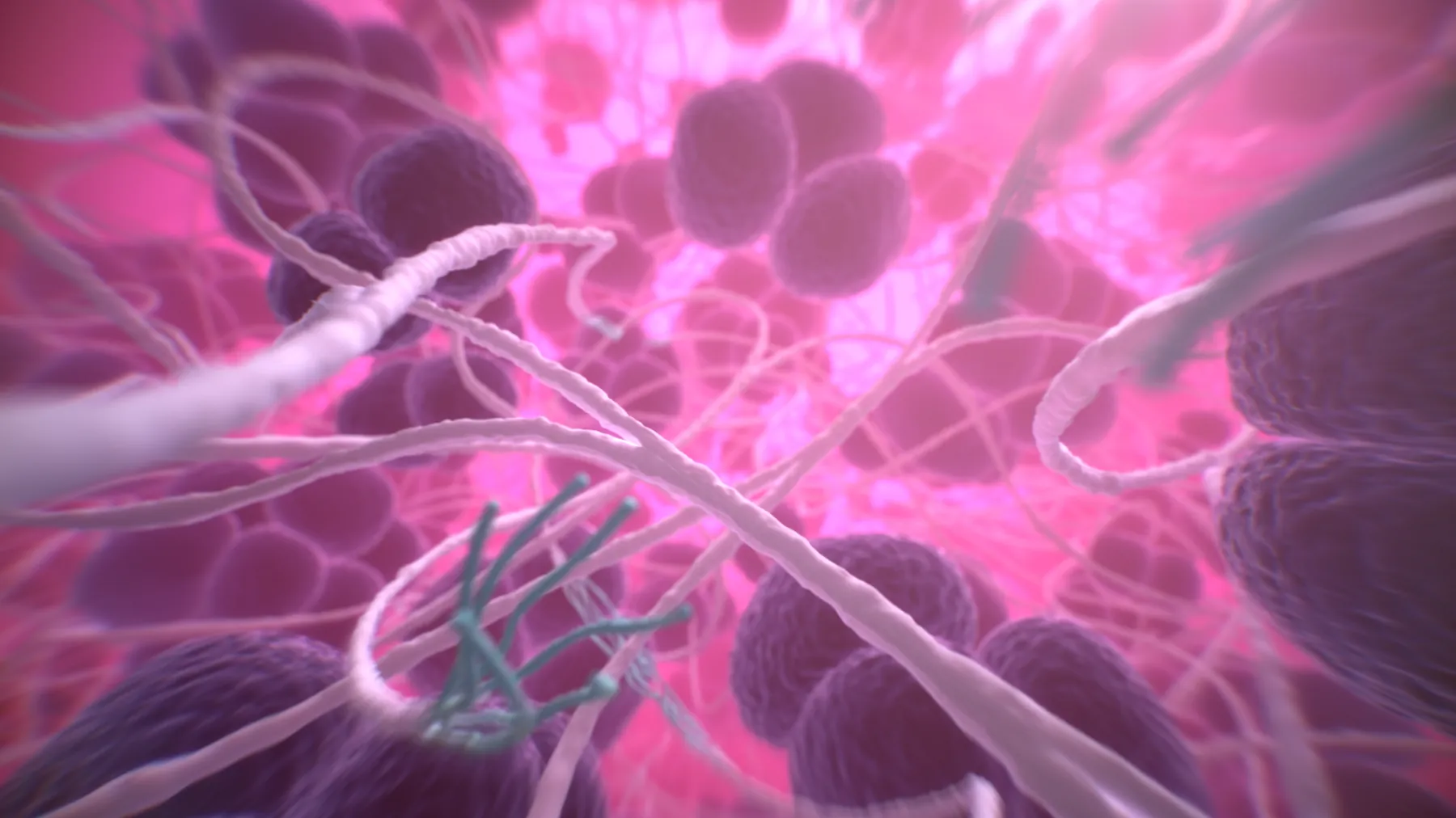 Rastrum by Inventia Life Science — image 8